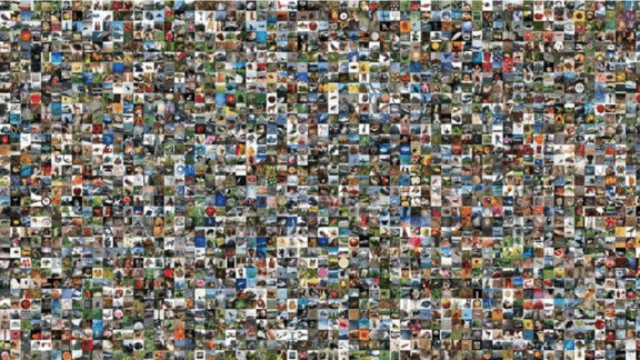 Dataset 2